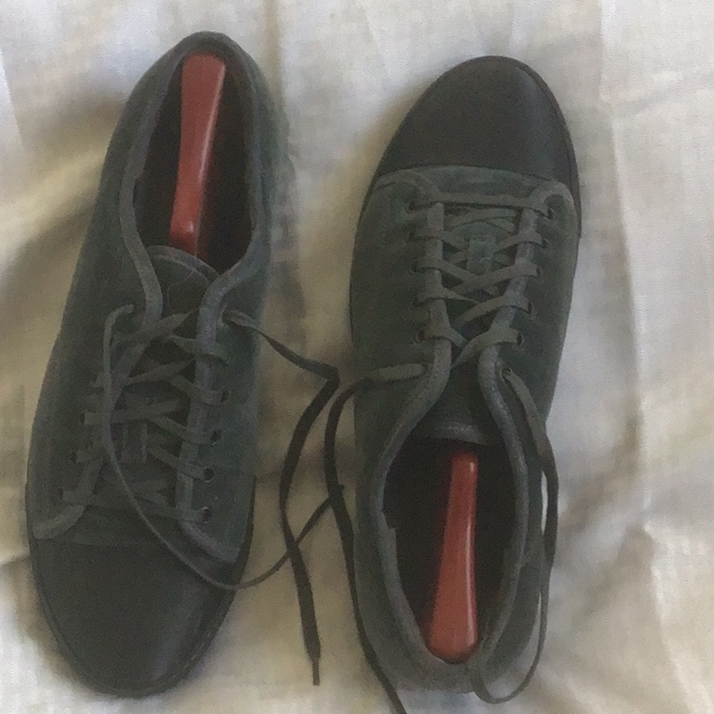 Lab in shoes